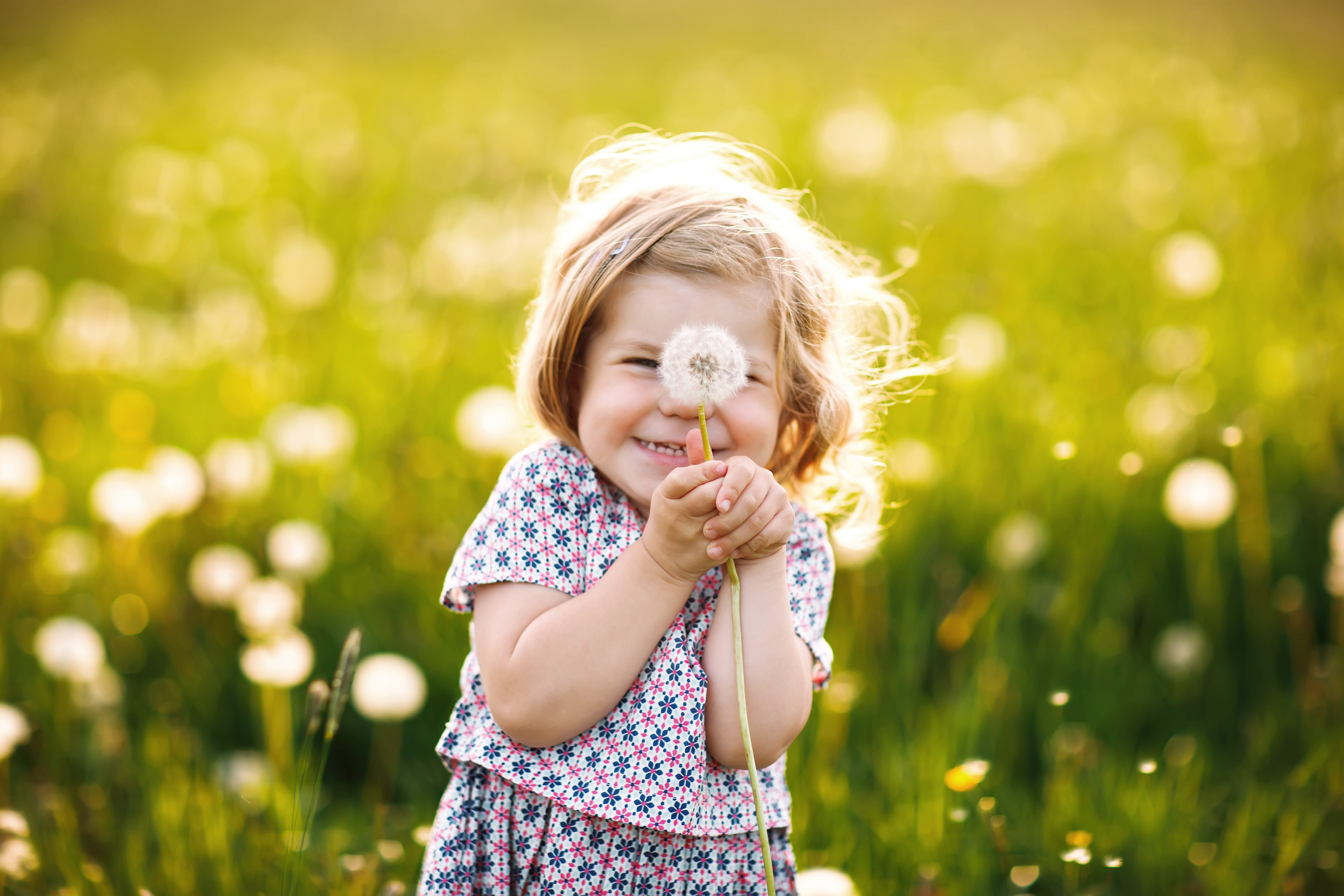Little girl holding a dandelion and smiling.